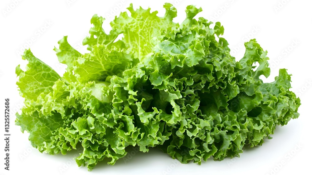 Lettuce leaf isolated on white background Green Lettuce leaf isolated on white background Green