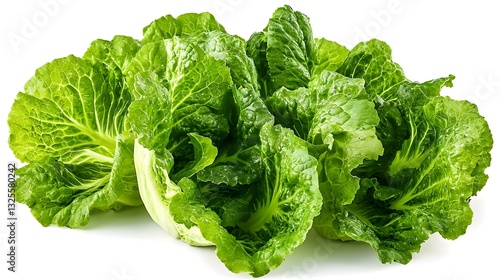 Fresh Romain Lettuce isolated on white