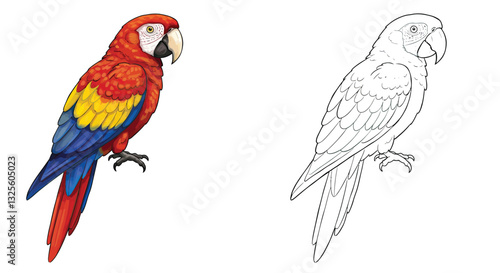 Scarlet Macaw Illustration: A vibrant illustration showcases a scarlet macaw, a striking bird with bold plumage, perched on a branch.