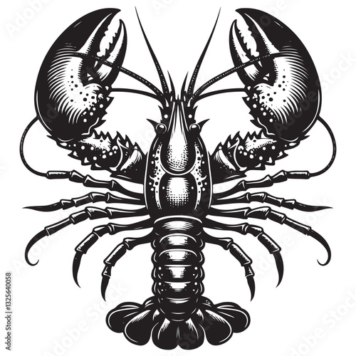 Seafood lobster vector illustration