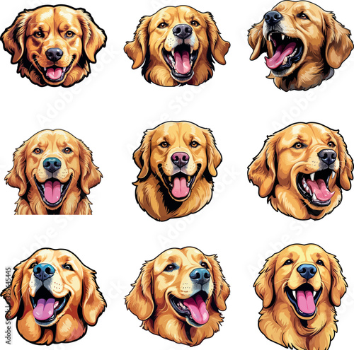 Golden Retriever Head Illustration for Digital and Print Use