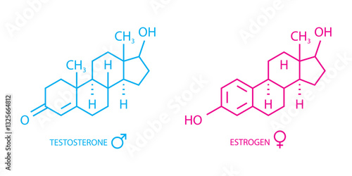 oestrogen and Testosterone Hormones symbol