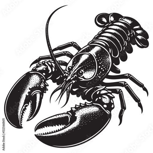 Seafood lobster vector illustration