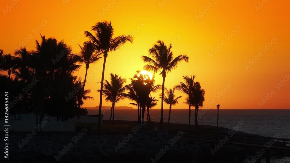 Take in the breathtaking aerial view of Sunset Key Island during sunset, where you can witness vibrant colors blending beautifully with the serene palm trees found in Key West, Florida Take in the breathtaking aerial view of Sunset Key Island during sunset, where you can witness vibrant colors blending beautifully with the serene palm trees found in Key West, Florida