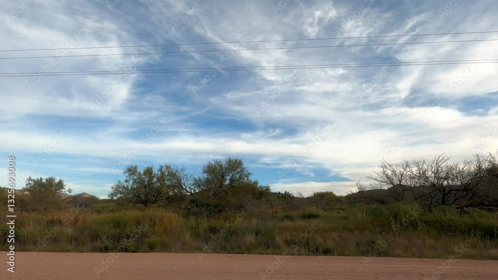 Arizona Driving 1665 Tempe Sunflower Arizona Driving 1665 Tempe Sunflower