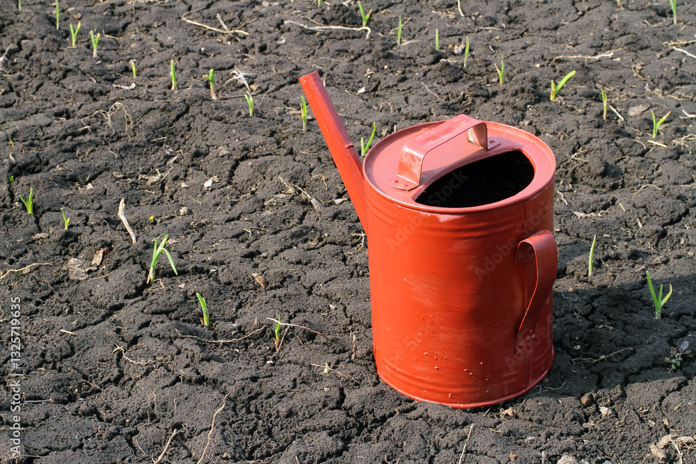 Garden watering can in the garden with young shoots. Red garden watering can.