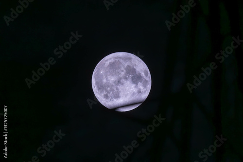 full moon in the night sky