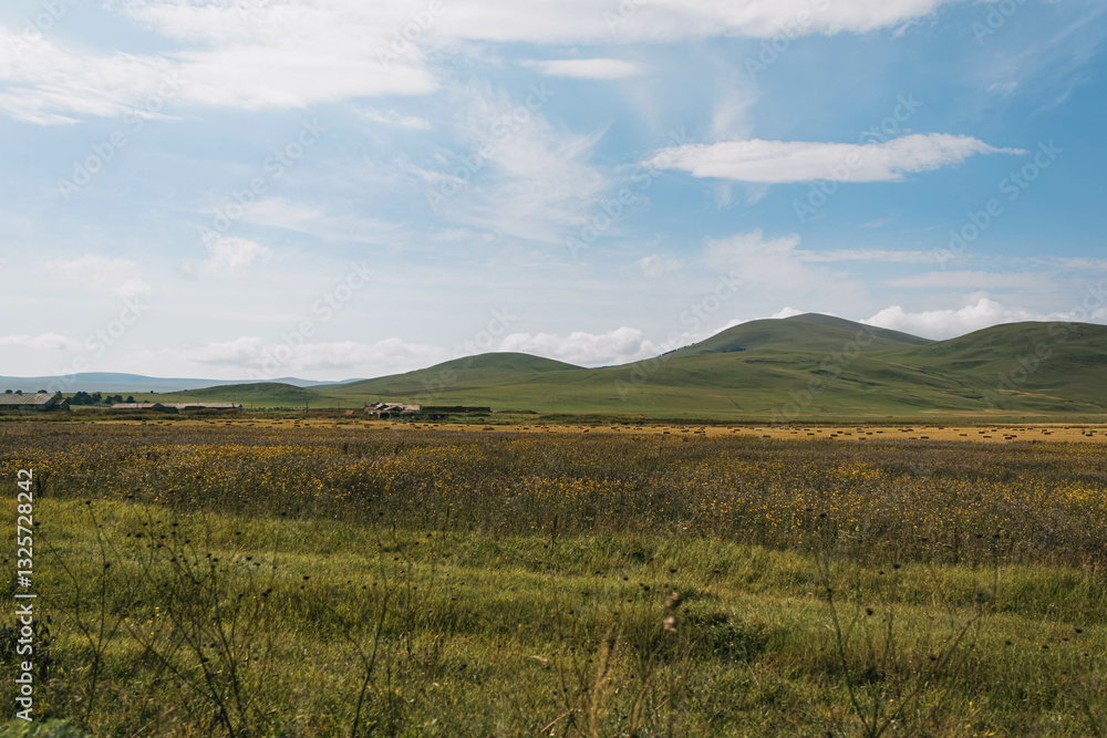 Obraz premium landscape with green field, mountains and clouds