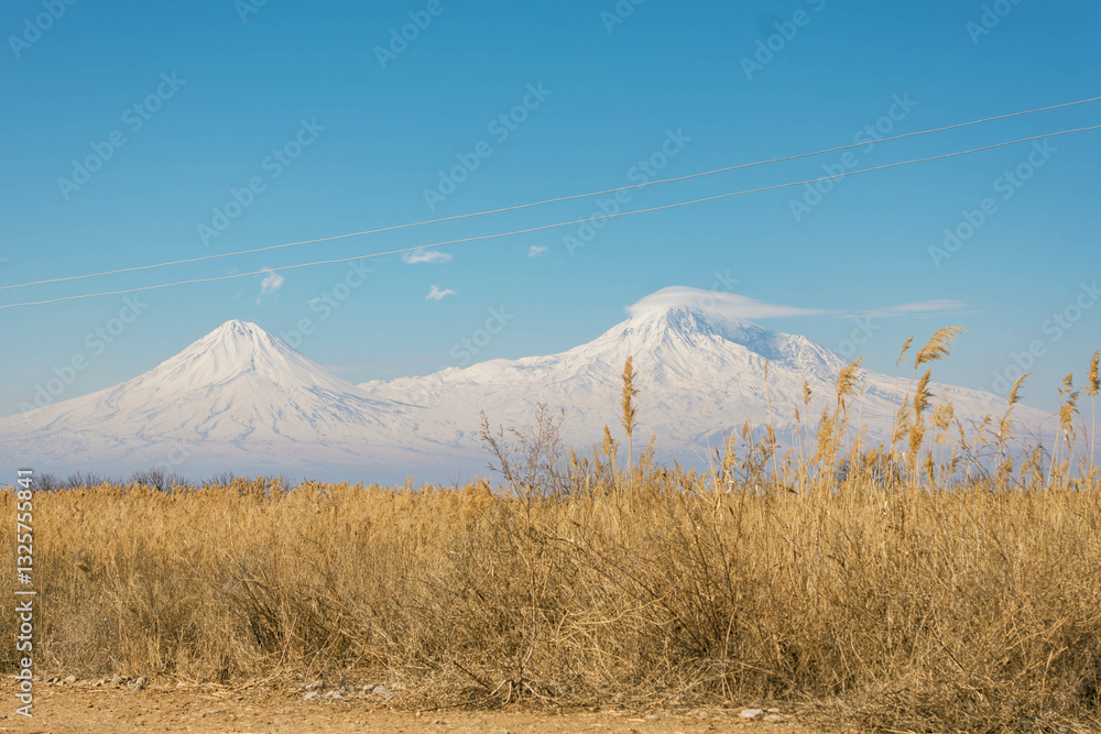 Fototapeta premium landscape with mount Ararat