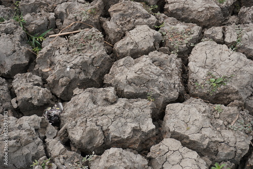 The soil degradation, a decline in soil quality due to improper use or management, often for agriculture or urban purposes