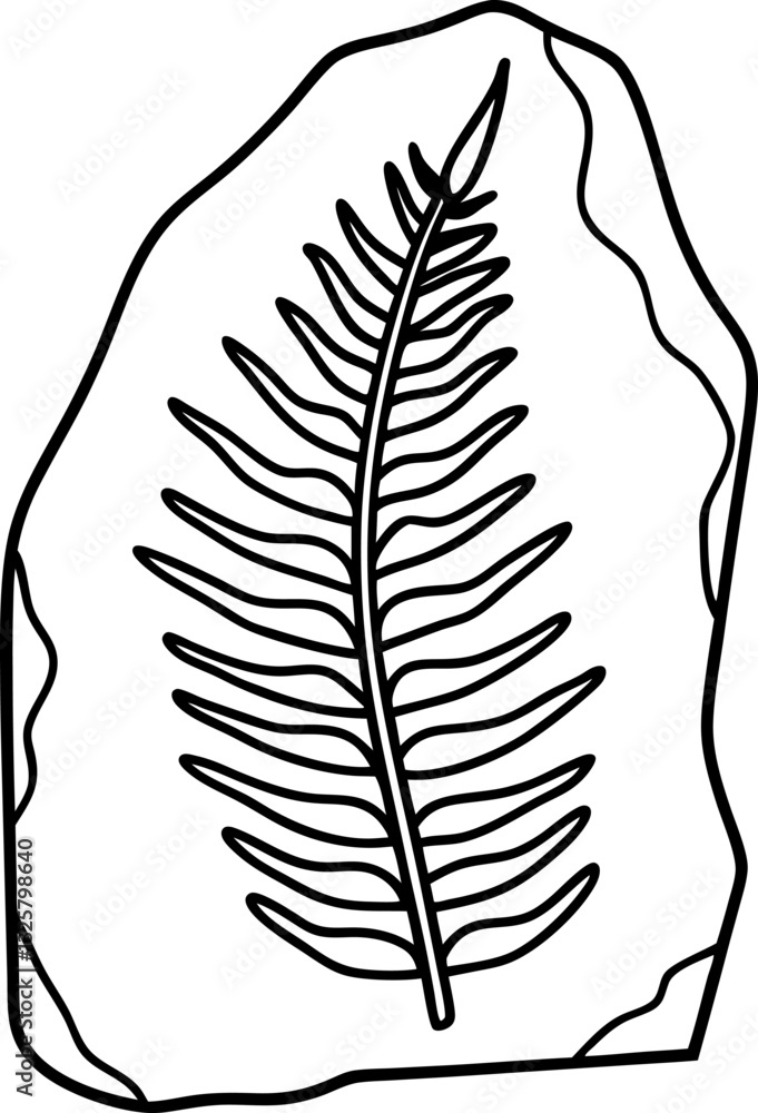 Fototapeta premium Fossilized fern on rock ancient plant imprint paleontology symbol, natural history artifact