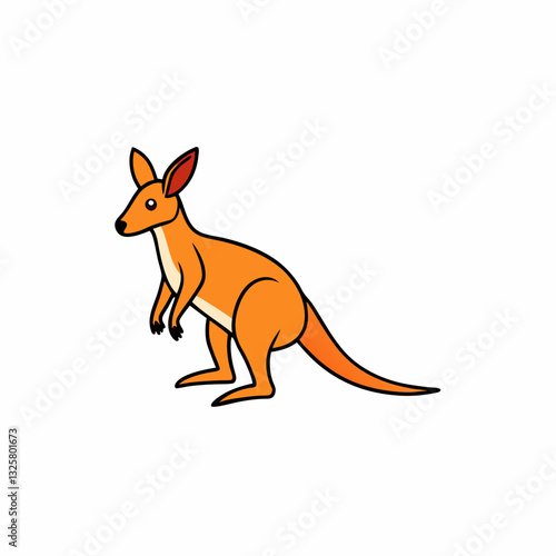 wallaby vector illustration