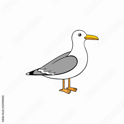 gull isolated on white