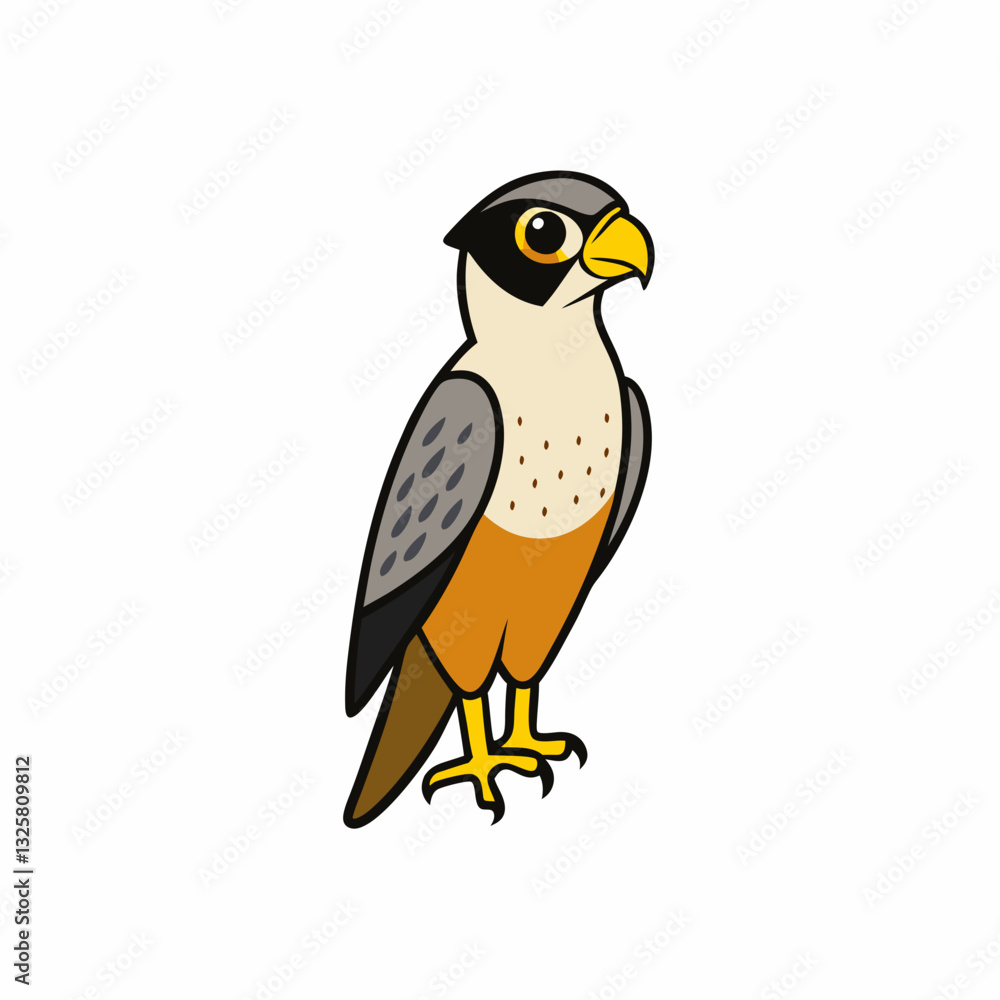 vector illustration of a peregrine bird vector illustration of a peregrine bird