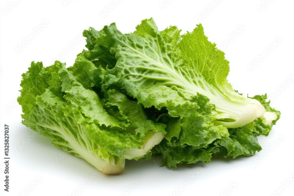 Fresh Crisp Green Lettuce Leaves Perfect for Salads and Healthy Dishes Fresh Crisp Green Lettuce Leaves Perfect for Salads and Healthy Dishes