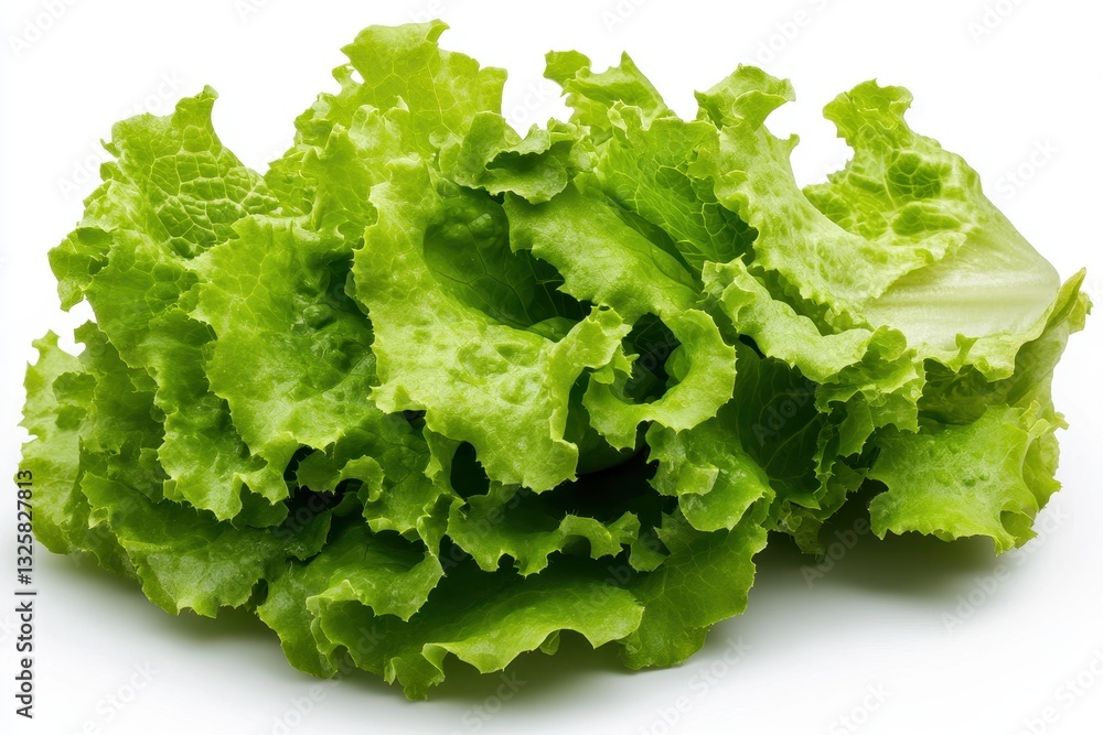 Fresh Green Lettuce Leaves on White Background for Healthy Eating and Culinary Use Fresh Green Lettuce Leaves on White Background for Healthy Eating and Culinary Use
