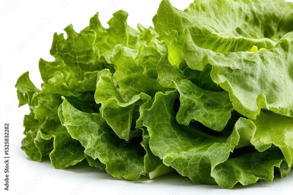 Fresh Green Lettuce Leaves on White Background for Healthy Eating and Culinary Use