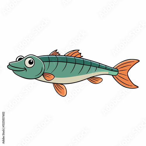 vector illustration of a minnow fish