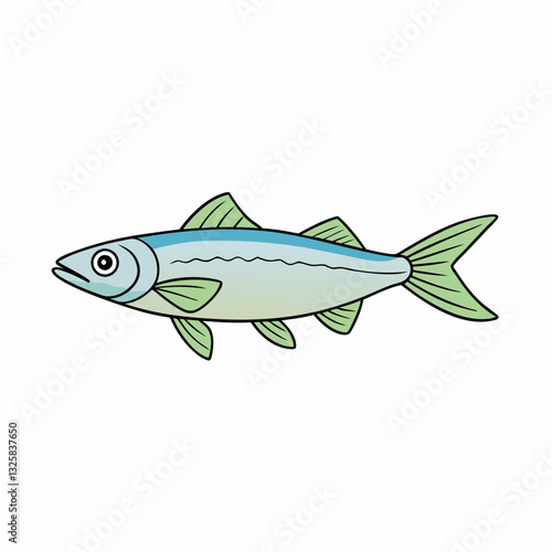vector illustration of a minnow fish