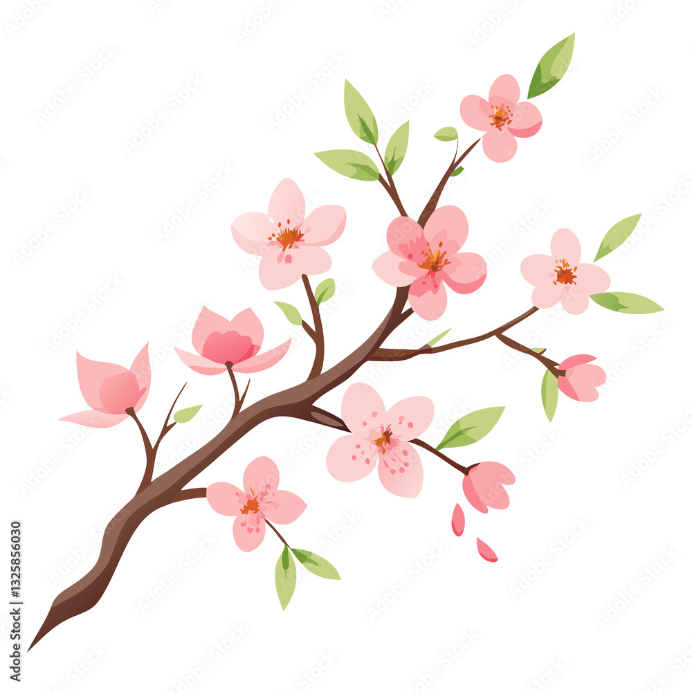 Pink cherry blossom isolated on white background Pink cherry blossom isolated on white background