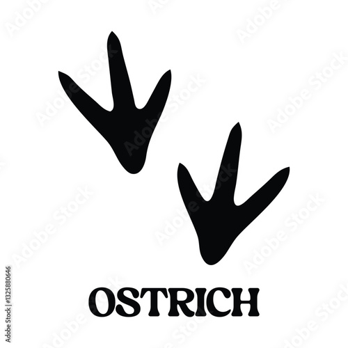 ostrich footprint vector illustration, Animal foot print silhouette design
