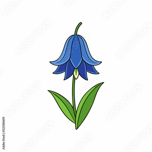 bluebell flower on white