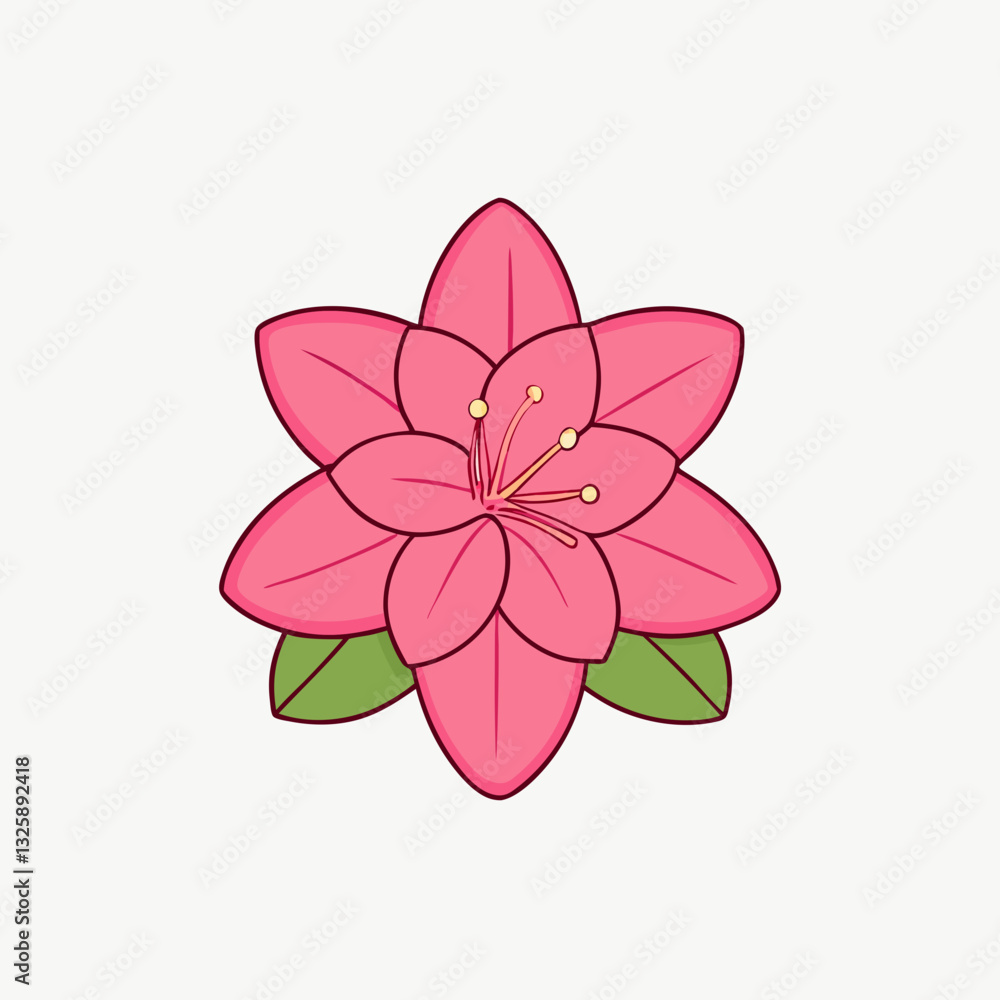 rhododendron flower on white rhododendron flower on white