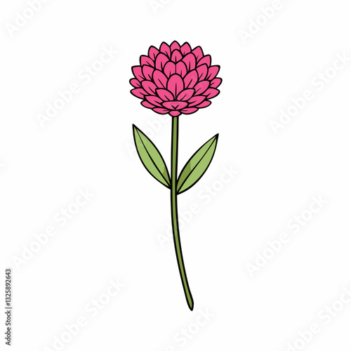 sea thrift flower isolated on white
