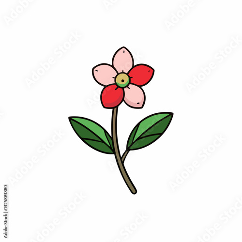waxflower isolated on white background