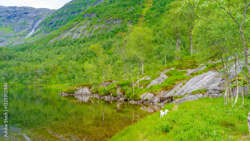 Obraz na płótnie Impressionen vom Naturparadies Eidslandet in Norwegen w salonie