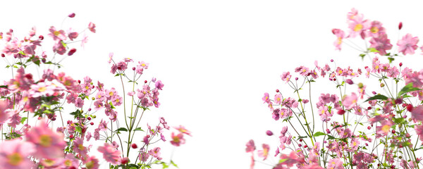 Foreground pink flowers beautify garden isolate on transparent backgrounds 3d illustrations png