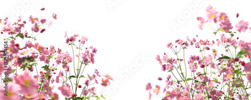 Foreground pink flowers beautify garden isolate on transparent backgrounds 3d illustrations png