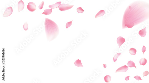 Rose petals or sakura flying petals, romantic background with realistic pink cherry flower petals flow or falling motion. Love, romance, floral spring season,cherry blossom