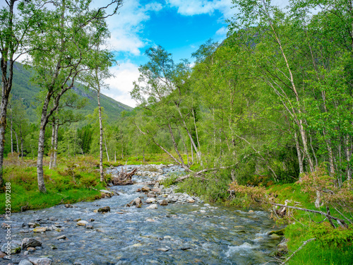 Obraz na płótnie Naturparadies Eidslandet in Norwegen w salonie