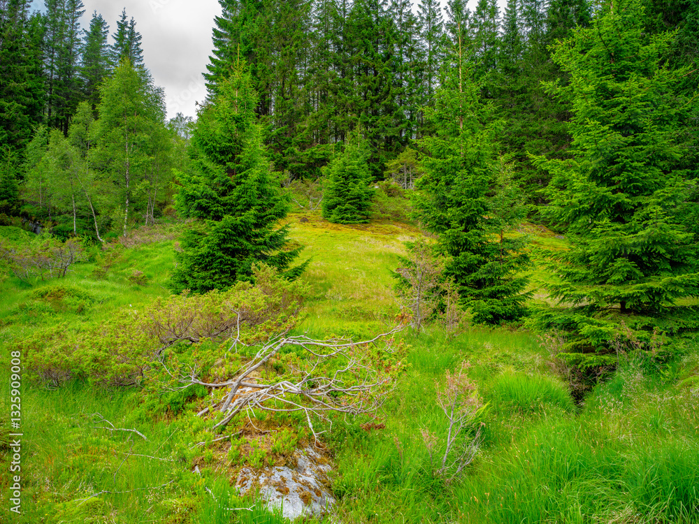 Impressionen vom Naturparadies Eidslandet in Norwegen