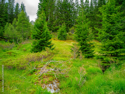 Obraz na płótnie Impressionen vom Naturparadies Eidslandet in Norwegen w salonie