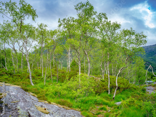 Naturparadies Eidslandet in Norwegen