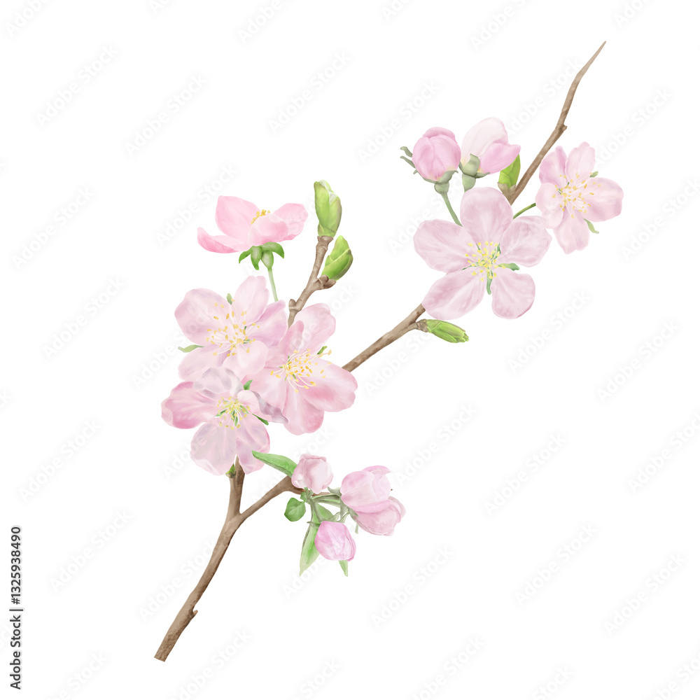 Obraz premium Delicate peach flowers on spring apple and cherry tree branches with green leaves. Watercolor digital illustration. Pink buds, blooming Japanese tree isolated on white background. Spring, Easter theme