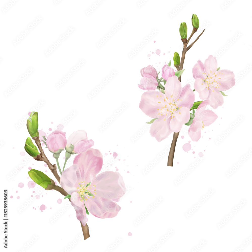 Delicate peach flowers on spring apple and cherry tree branches with green leaves. Watercolor digital illustration. Pink buds, blooming Japanese tree isolated on white background. Spring, Easter theme Delicate peach flowers on spring apple and cherry tree branches with green leaves. Watercolor digital illustration. Pink buds, blooming Japanese tree isolated on white background. Spring, Easter theme