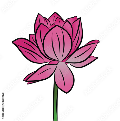 Pink lotus flower, watercolor vector illustration