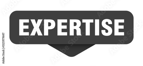 expertise sticker. expertise sign on transparent background