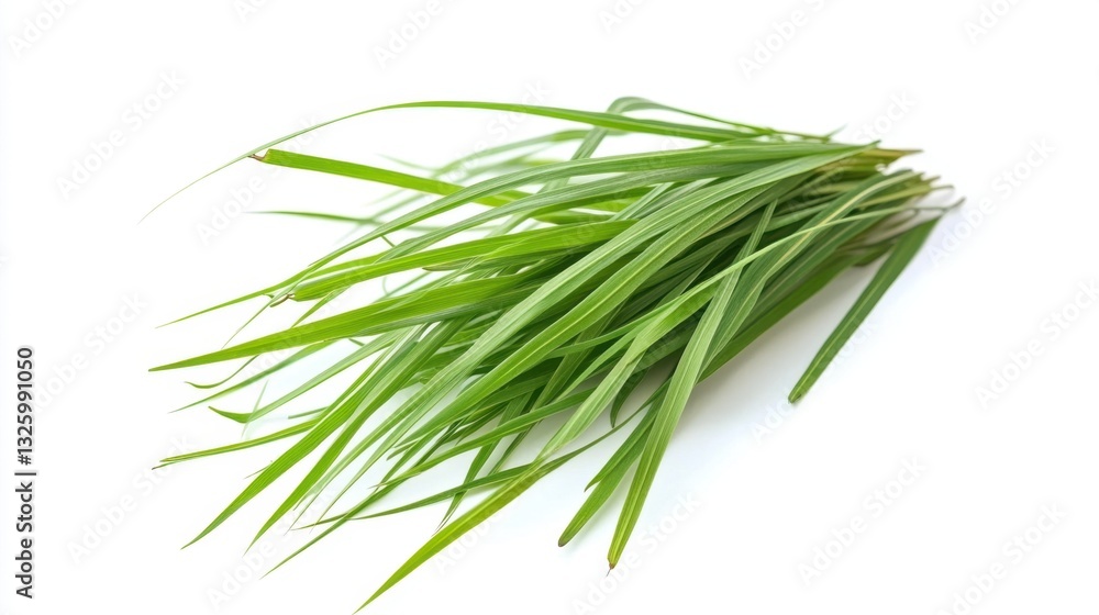 Fresh green grass blades arranged artistically on a white background, ideal for nature-themed designs Fresh green grass blades arranged artistically on a white background, ideal for nature-themed designs
