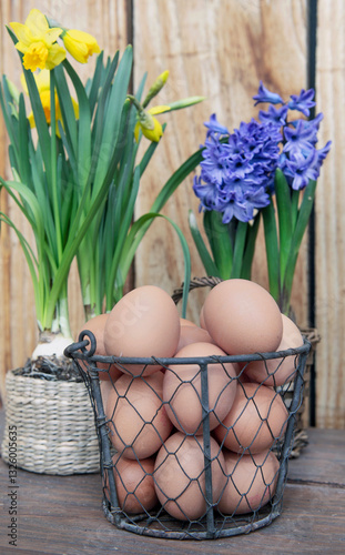 chicken eggs  in little metal basket on a table in front of daffodils and hya...