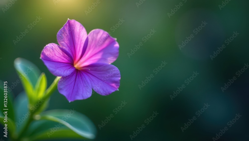 Deep purple flower, delicate leaves, soft light , serene, tranquil, soft Deep purple flower, delicate leaves, soft light , serene, tranquil, soft