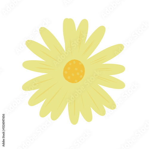 yellow daisy flower illustration. Top angle
