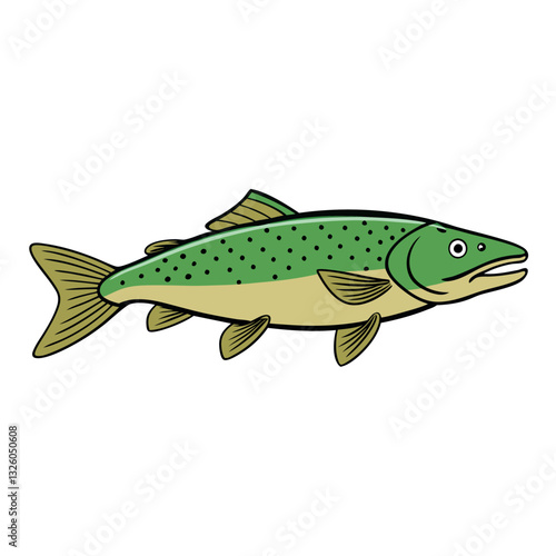 Lake trout vector style.