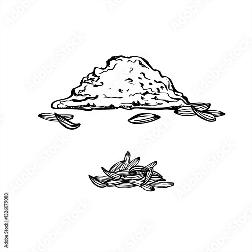 Monochrome cumin powder and whole cumin seed pile vector illustration painted by black inks in linear style. Aromatic organic spices graphic sketch. Food seasoning ingredient for cooking recipe