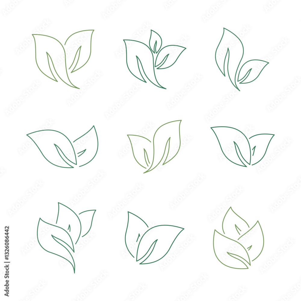 Fototapeta premium green tea leaves set flat design outlines