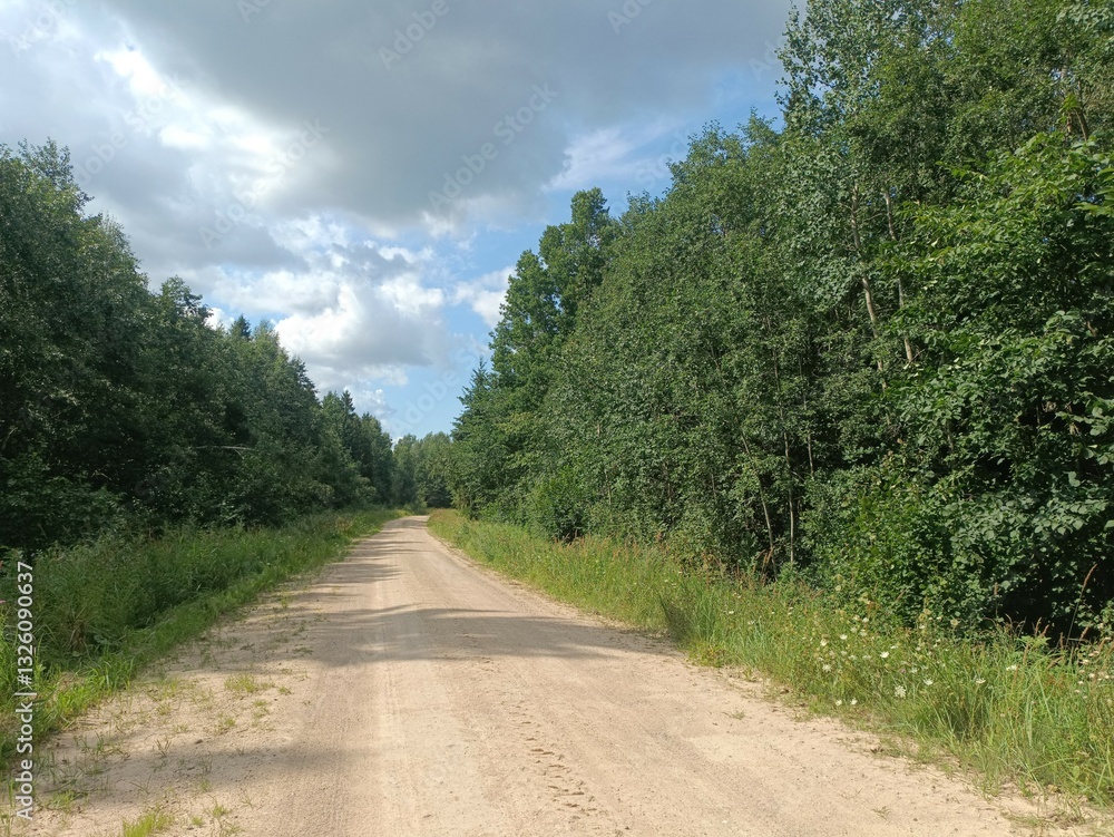 Road in forest in Siauliai county during sunny summer day. Oak and birch tree woodland. Sunny day with white clouds in sky. Bushes are growing in woods. Sandy road. Nature. Summer season. Miskas. Road in forest in Siauliai county during sunny summer day. Oak and birch tree woodland. Sunny day with white clouds in sky. Bushes are growing in woods. Sandy road. Nature. Summer season. Miskas.