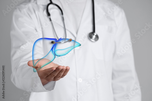 Doctor holding illustration of liver on grey background, closeup